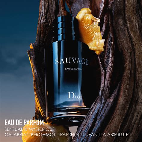 dior sauvage parfum september|eau sauvage parfum fragrantica.